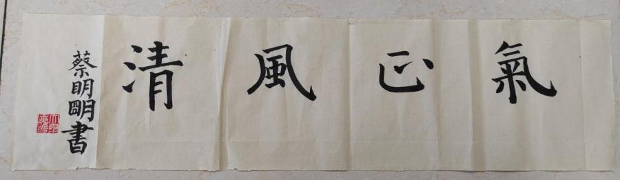 气正风清（儿科支部）
