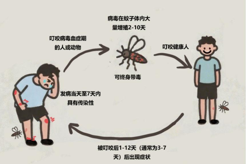 微信图片_20250727224131